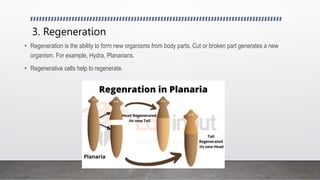 3. Regeneration
• Regeneration is the ability to form new organisms from body parts. Cut or broken part generates a new
organism. For example, Hydra, Planarians.
• Regenerative cells help to regenerate.
 
