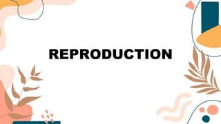 REPRODUCTION
 