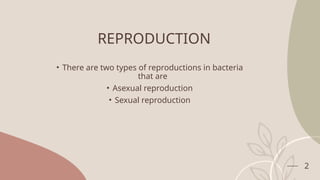 2
REPRODUCTION
• There are two types of reproductions in bacteria
that are
• Asexual reproduction
• Sexual reproduction
 