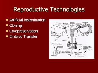 Reproductive Technologies Artificial insemination Cloning Cryopreservation Embryo Transfer 