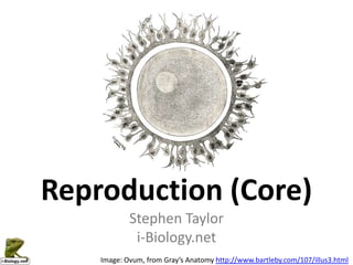 Reproduction (Core)
            Stephen Taylor
             i-Biology.net
    Image: Ovum, from Gray’s Anatomy http://www.bartleby.com/107/illus3.html
 