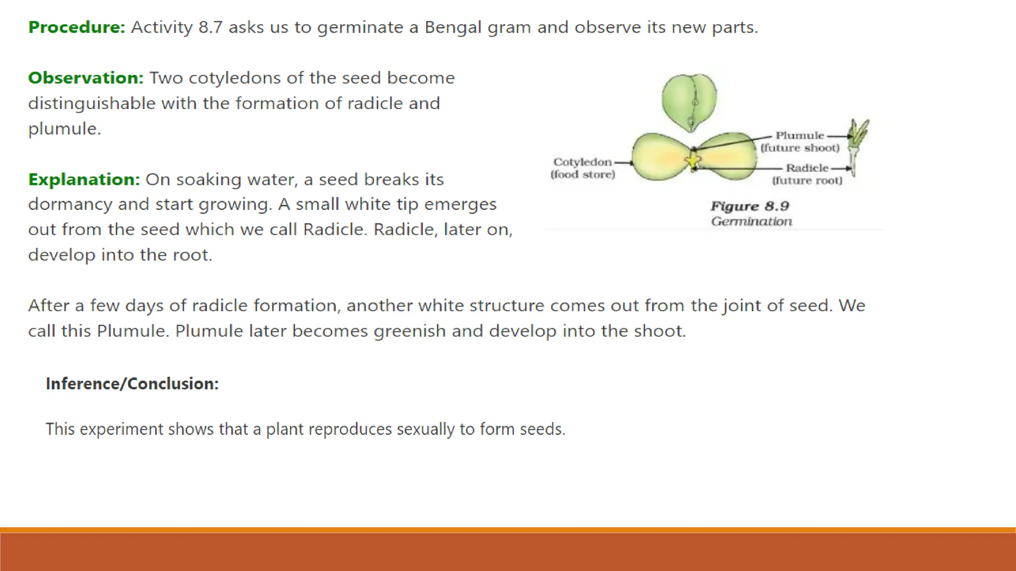 HOW DO ORGANISMS REPRODUCE?reproduction part 1