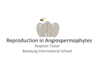 Reproduction in Angiospermophytes