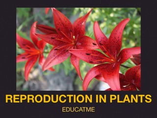 Reproduction in plants.