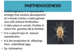Sexual Reproduction In Protists Process of Reproduction-in-Protists.pptx
