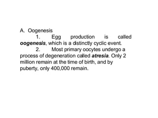 A. Oogenesis  1. Egg production is called  oogenesis , which is a distinctly cyclic event. 2. Most primary oocytes undergo a process of degeneration called  atresia . Only 2 million remain at the time of birth, and by puberty, only 400,000 remain.   