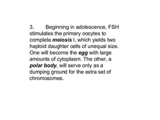3. Beginning in adolescence, FSH stimulates the primary oocytes to complete  meiosis  I, which yields two haploid daughter cells of unequal size. One will become the  egg  with large amounts of cytoplasm. The other, a  polar body , will serve only as a dumping ground for the extra set of chromosomes.   