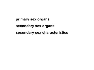 primary sex organs  secondary sex organs secondary sex characteristics 