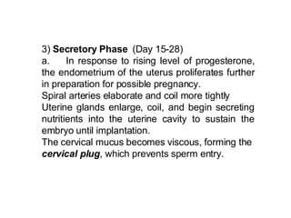 3)  Secretory Phase   (Day 15-28) a.  In response to rising level of progesterone, the endometrium of the uterus proliferates further in preparation for possible pregnancy.  Spiral arteries elaborate and coil more tightly Uterine glands enlarge, coil, and begin secreting nutritients into the uterine cavity to sustain the embryo until implantation. The cervical mucus becomes viscous, forming the  cervical plug , which prevents sperm entry.  