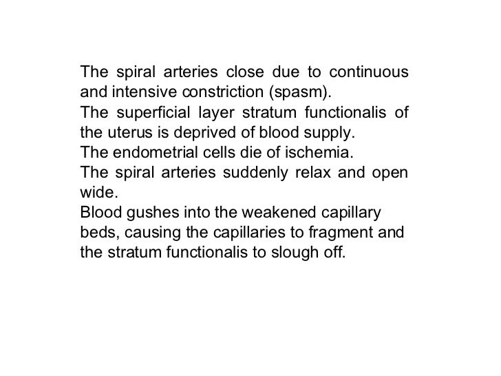 coil prevents pregnancy how System Reproductive coil prevents pregnancy how System Reproductive