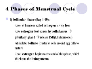 4 Phases of Menstrual Cycle
1) Follicular Phase (Day 1-10):
-Level of hormone called estrogen is very low
-Low estrogen level causes hypothalamus 
pituitary gland release FSH/LH (hormones)
-Stimulates follicle (cluster of cells around egg cell) to
mature
-Level estrogen begins to rise end of this phase, which
thickens the lining uterus
 