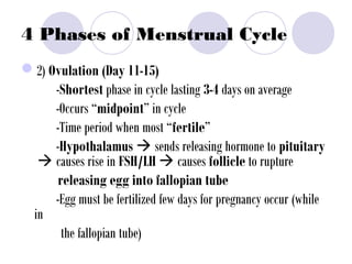 4 Phases of Menstrual Cycle
2) Ovulation (Day 11-15)
-Shortest phase in cycle lasting 3-4 days on average
-Occurs “midpoint” in cycle
-Time period when most “fertile”
-Hypothalamus  sends releasing hormone to pituitary
 causes rise in FSH/LH  causes follicle to rupture
releasing egg into fallopian tube
-Egg must be fertilized few days for pregnancy occur (while
in
the fallopian tube)
 