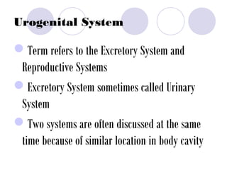 Urogenital System
Term refers to the Excretory System and
Reproductive Systems
Excretory System sometimes called Urinary
System
Two systems are often discussed at the same
time because of similar location in body cavity
 
