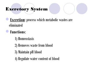 Excretory System
Excretion: process which metabolic wastes are
eliminated
Functions:
1) Homeostasis
2) Removes waste from blood
3) Maintain pH blood
4) Regulate water content of blood
 