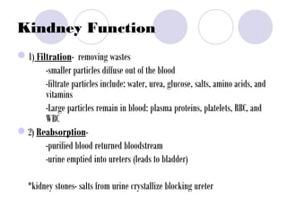 Kindney Function
1) Filtration- removing wastes
-smaller particles diffuse out of the blood
-filtrate particles include: water, urea, glucose, salts, amino acids, and
vitamins
-Large particles remain in blood: plasma proteins, platelets, RBC, and
WBC
•2) Reabsorption-
-purified blood returned bloodstream
-urine emptied into ureters (leads to bladder)
*kidney stones- salts from urine crystallize blocking ureter
 