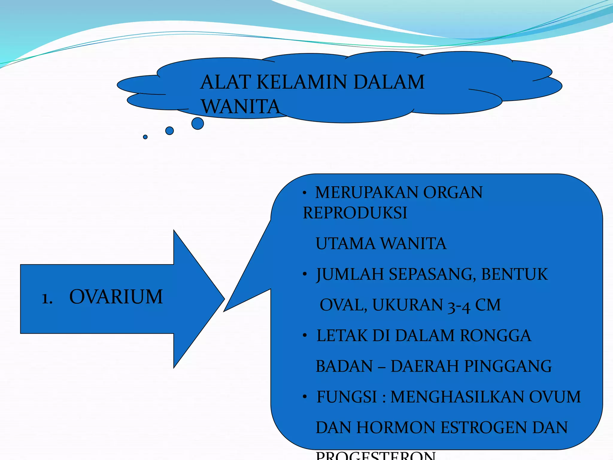 Reproduction system2 Ppt ppt