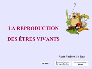 LA REPRODUCTION DES ÊTRES VIVANTS Source: Juana Jiménez Valderas 