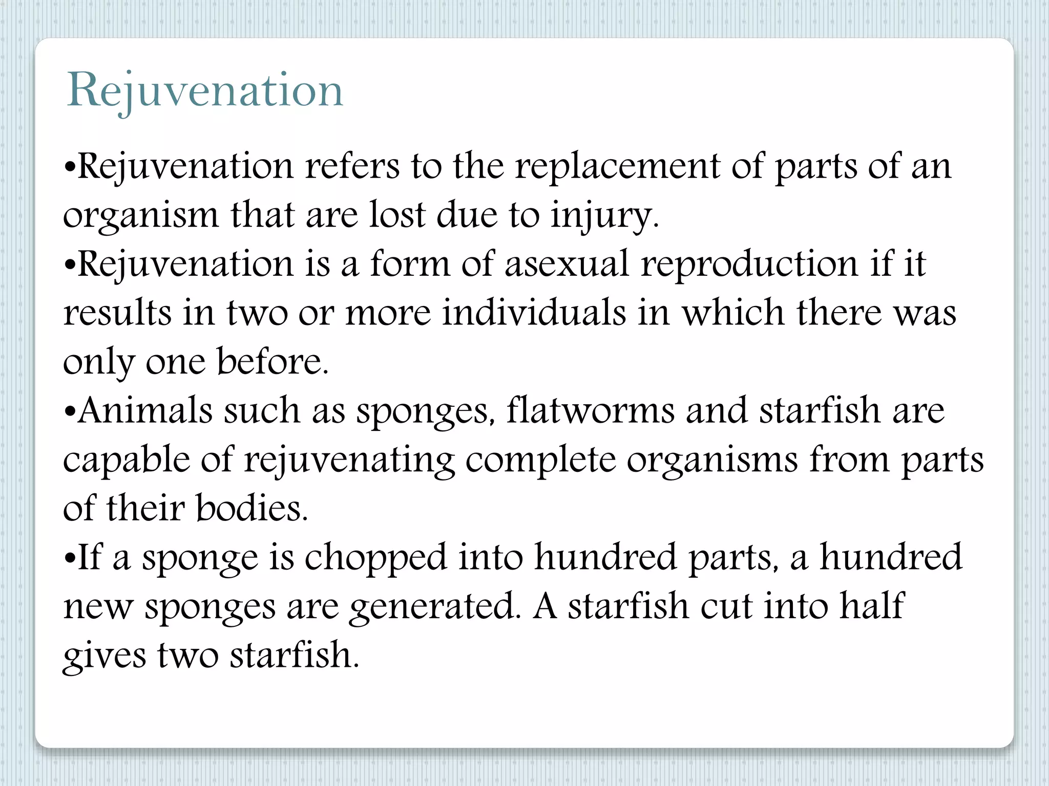 •Rejuvenation refers to the replacement of parts of an
organism that are lost due to injury.
•Rejuvenation is a form of asexual reproduction if it
results in two or more individuals in which there was
only one before.
•Animals such as sponges, flatworms and starfish are
capable of rejuvenating complete organisms from parts
of their bodies.
•If a sponge is chopped into hundred parts, a hundred
new sponges are generated. A starfish cut into half
gives two starfish.
Rejuvenation
 