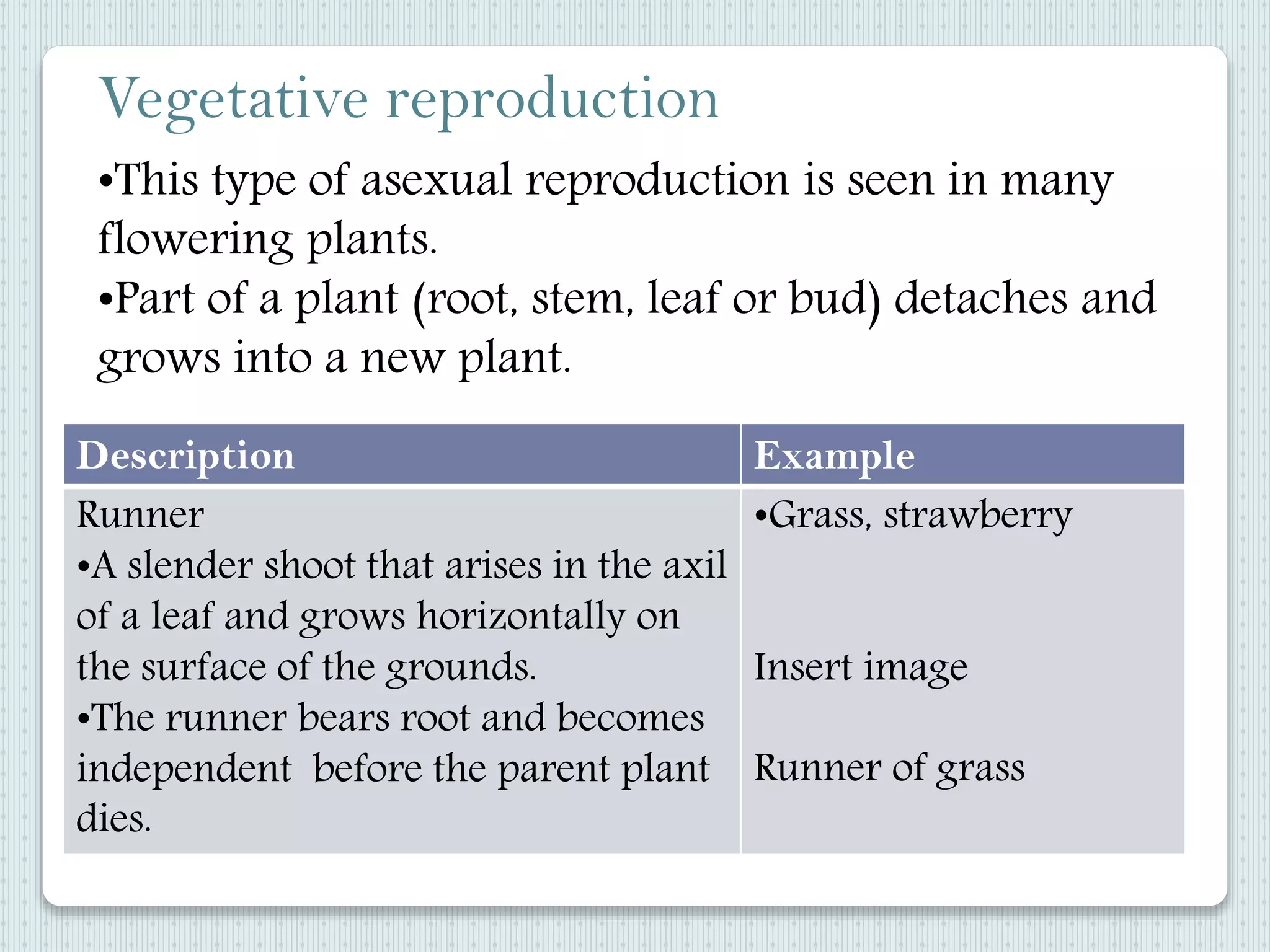 •This type of asexual reproduction is seen in many
flowering plants.
•Part of a plant (root, stem, leaf or bud) detaches and
grows into a new plant.
Description Example
Runner
•A slender shoot that arises in the axil
of a leaf and grows horizontally on
the surface of the grounds.
•The runner bears root and becomes
independent before the parent plant
dies.
•Grass, strawberry
Insert image
Runner of grass
Vegetative reproduction
 