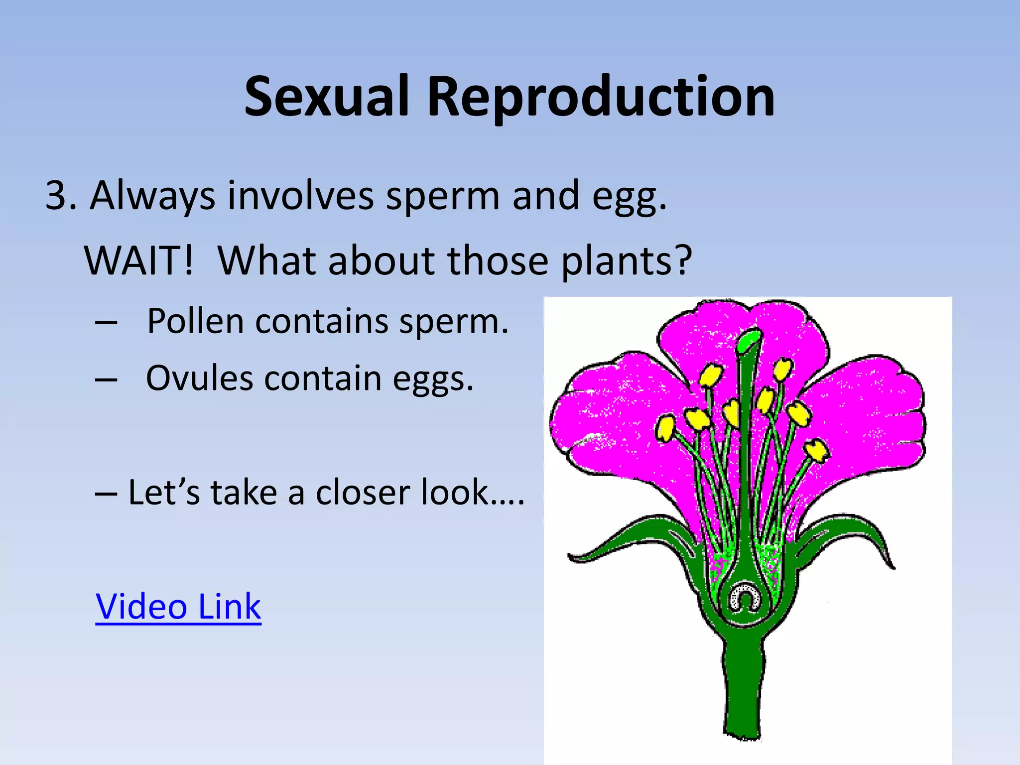 Sexual Reproduction
3. Always involves sperm and egg.
WAIT! What about those plants?
– Pollen contains sperm.
– Ovules contain eggs.
– Let’s take a closer look….
Video Link
 