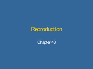 Reproduction 
Chapter 43 
 