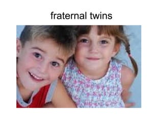 Reproduction and growth | PPT
