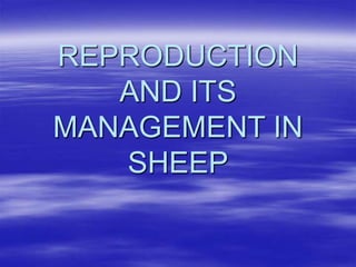 REPRODUCTION
AND ITS
MANAGEMENT IN
SHEEP
 