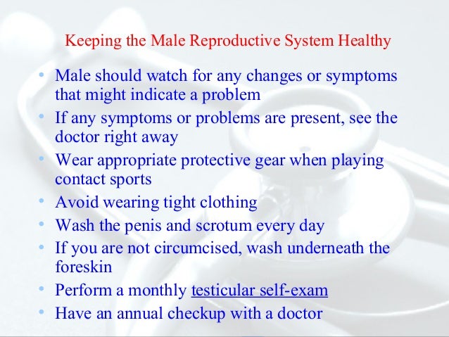 5 Suggestions To Preserve The Male Reproductive Gadget Healthful 5 Suggestions To Preserve The Male Reproductive Gadget Healthful