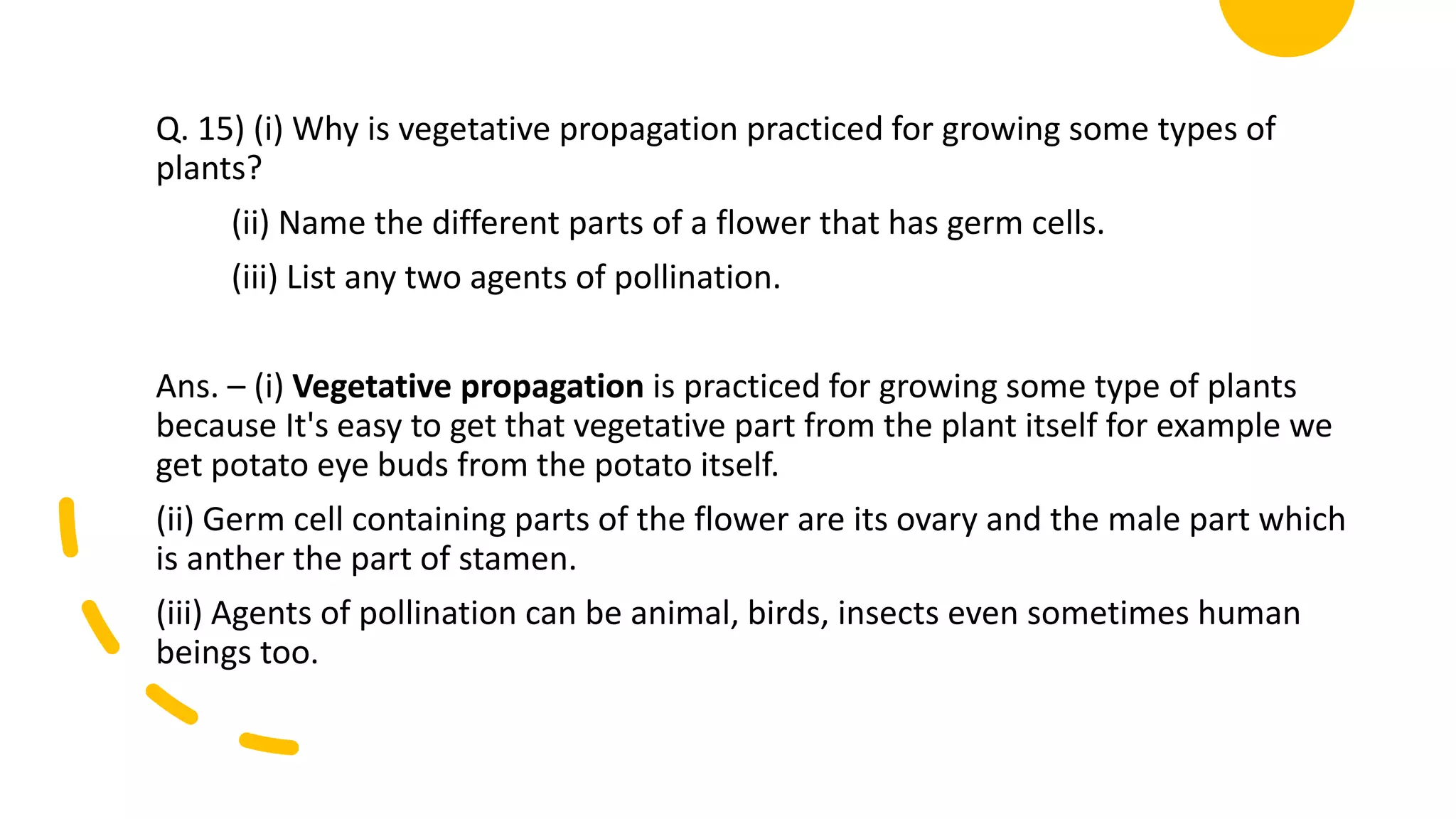 Q. 15) (i) Why is vegetative propagation practiced for growing some types of
plants?
(ii) Name the different parts of a flower that has germ cells.
(iii) List any two agents of pollination.
Ans. – (i) Vegetative propagation is practiced for growing some type of plants
because It's easy to get that vegetative part from the plant itself for example we
get potato eye buds from the potato itself.
(ii) Germ cell containing parts of the flower are its ovary and the male part which
is anther the part of stamen.
(iii) Agents of pollination can be animal, birds, insects even sometimes human
beings too.
 