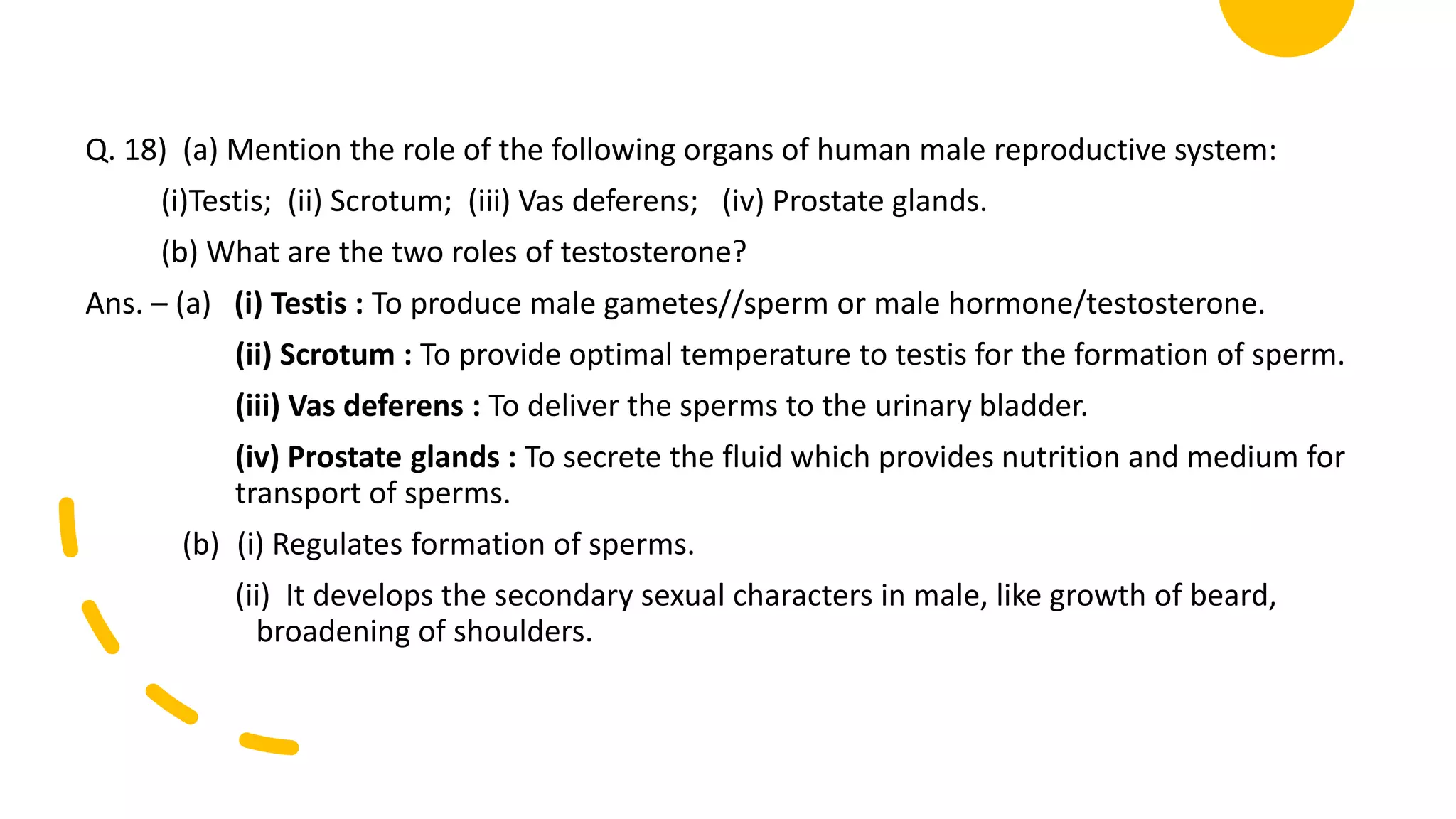 Q. 18) (a) Mention the role of the following organs of human male reproductive system:
(i)Testis; (ii) Scrotum; (iii) Vas deferens; (iv) Prostate glands.
(b) What are the two roles of testosterone?
Ans. – (a) (i) Testis : To produce male gametes//sperm or male hormone/testosterone.
(ii) Scrotum : To provide optimal temperature to testis for the formation of sperm.
(iii) Vas deferens : To deliver the sperms to the urinary bladder.
(iv) Prostate glands : To secrete the fluid which provides nutrition and medium for
transport of sperms.
(b) (i) Regulates formation of sperms.
(ii) It develops the secondary sexual characters in male, like growth of beard,
broadening of shoulders.
 