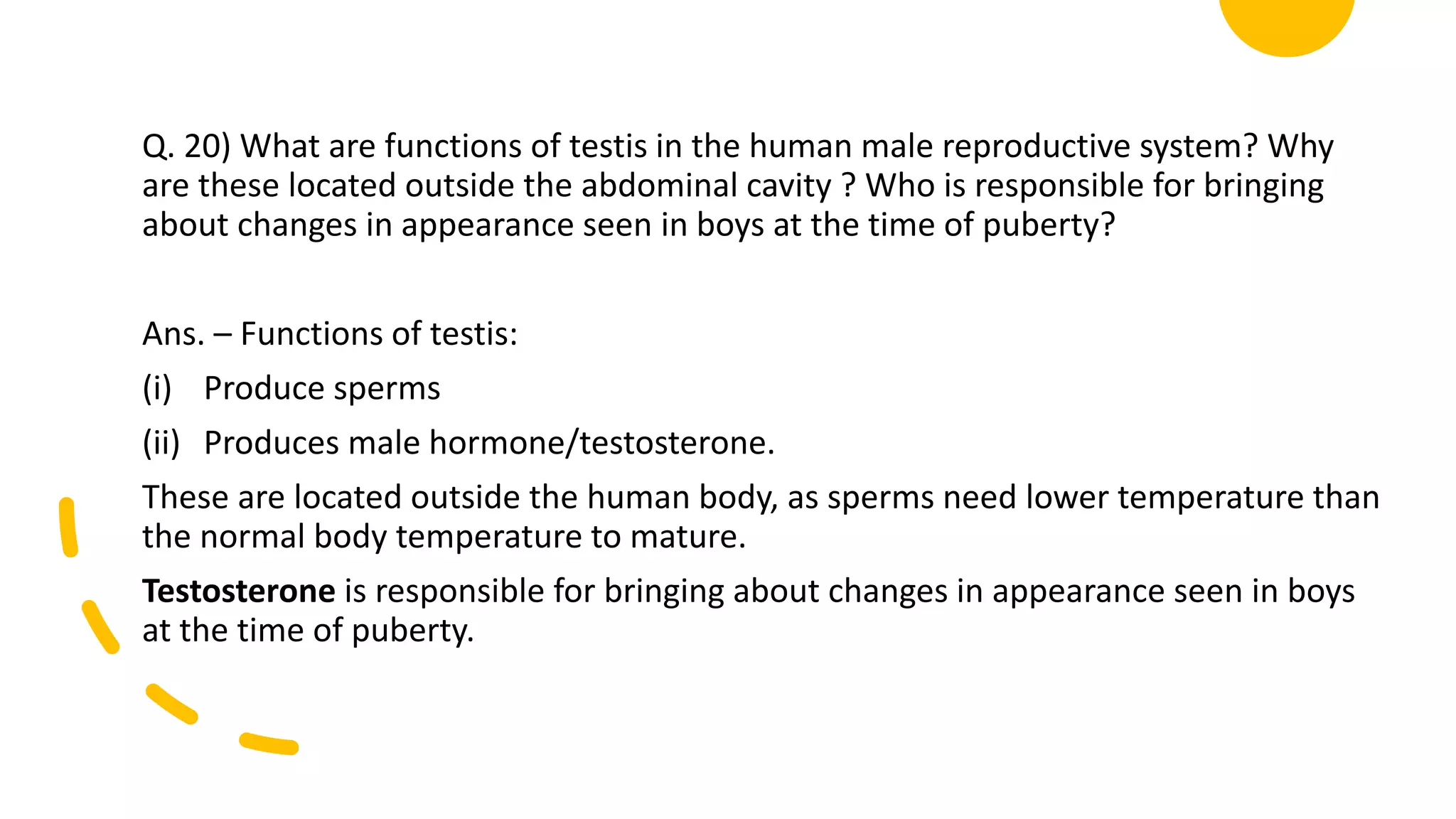 Q. 20) What are functions of testis in the human male reproductive system? Why
are these located outside the abdominal cavity ? Who is responsible for bringing
about changes in appearance seen in boys at the time of puberty?
Ans. – Functions of testis:
(i) Produce sperms
(ii) Produces male hormone/testosterone.
These are located outside the human body, as sperms need lower temperature than
the normal body temperature to mature.
Testosterone is responsible for bringing about changes in appearance seen in boys
at the time of puberty.
 