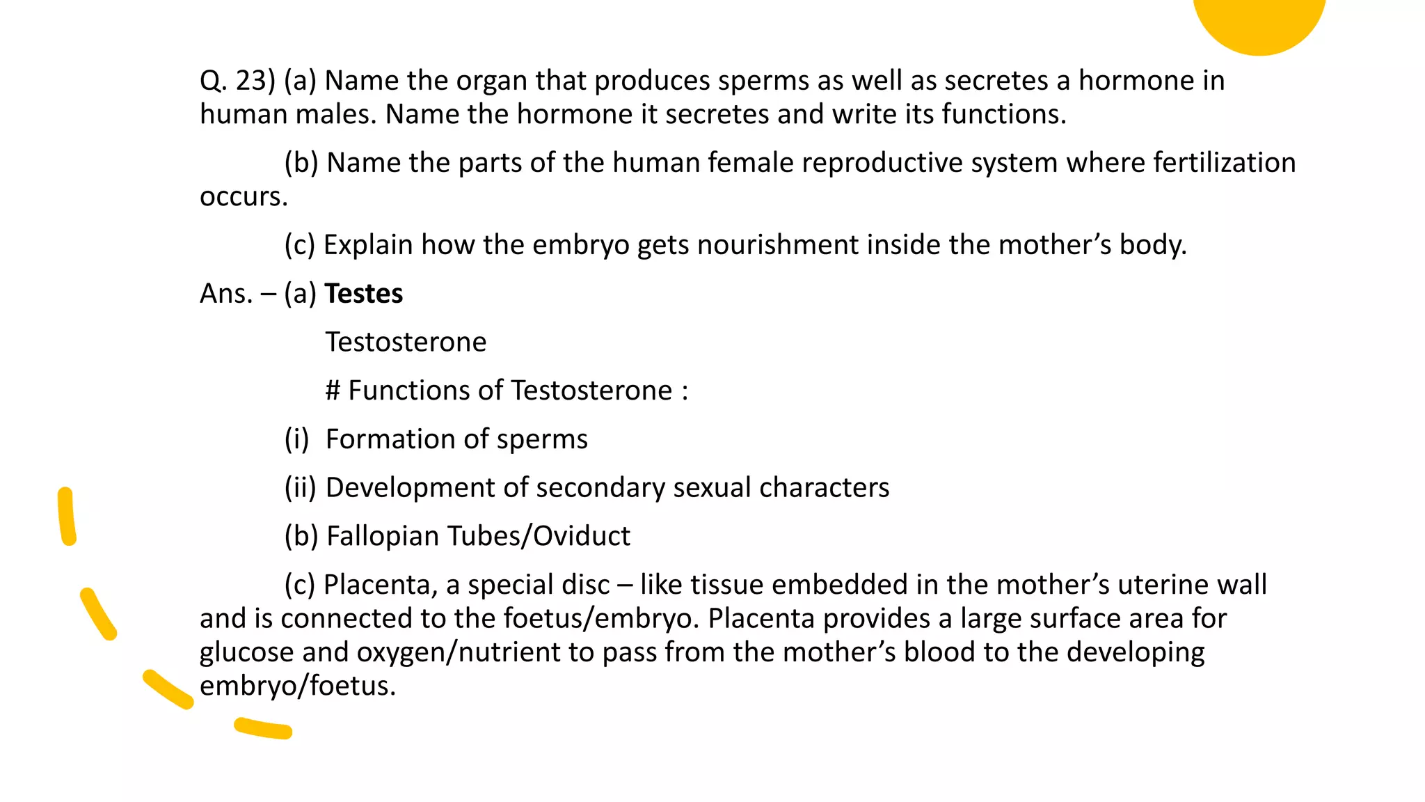 Q. 23) (a) Name the organ that produces sperms as well as secretes a hormone in
human males. Name the hormone it secretes and write its functions.
(b) Name the parts of the human female reproductive system where fertilization
occurs.
(c) Explain how the embryo gets nourishment inside the mother’s body.
Ans. – (a) Testes
Testosterone
# Functions of Testosterone :
(i) Formation of sperms
(ii) Development of secondary sexual characters
(b) Fallopian Tubes/Oviduct
(c) Placenta, a special disc – like tissue embedded in the mother’s uterine wall
and is connected to the foetus/embryo. Placenta provides a large surface area for
glucose and oxygen/nutrient to pass from the mother’s blood to the developing
embryo/foetus.
 