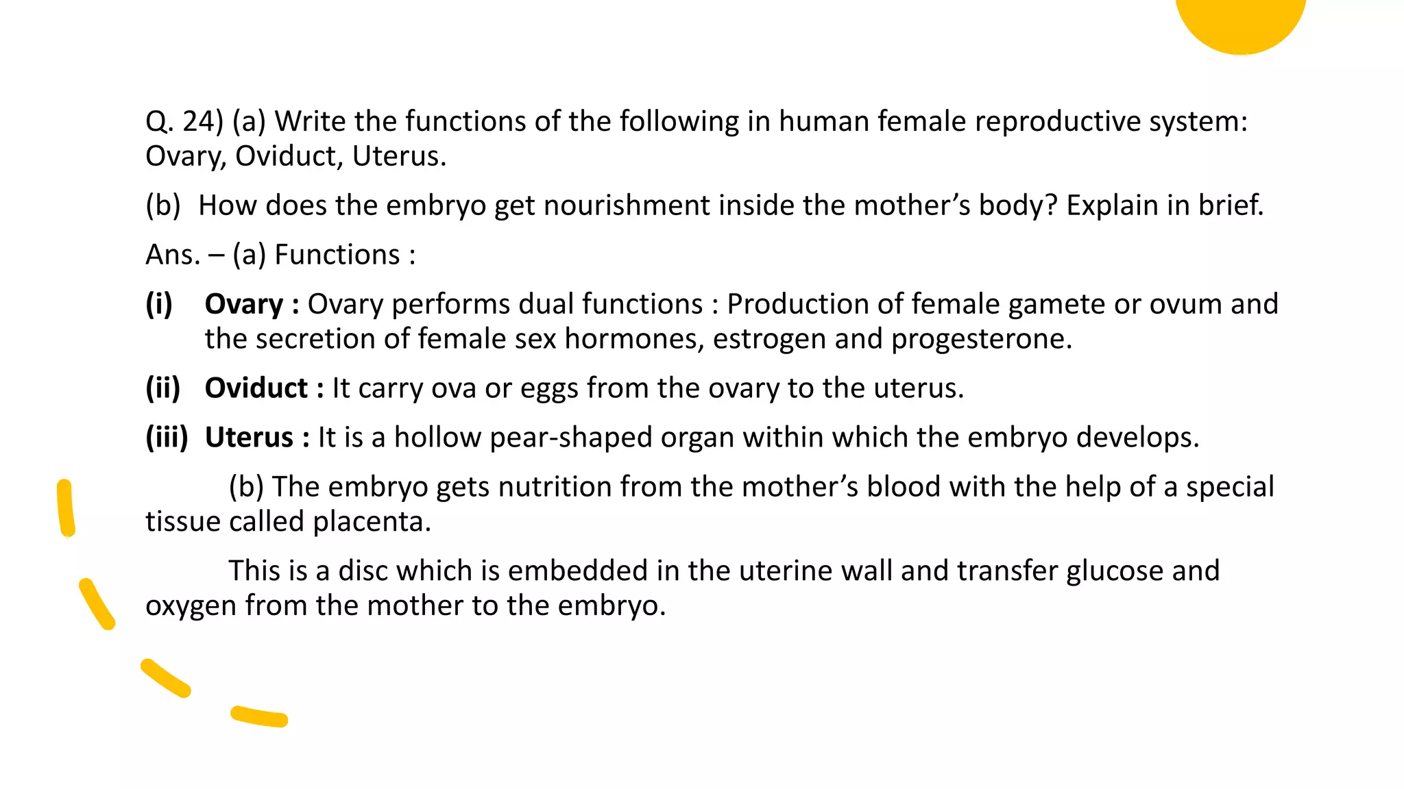 Q. 24) (a) Write the functions of the following in human female reproductive system:
Ovary, Oviduct, Uterus.
(b) How does the embryo get nourishment inside the mother’s body? Explain in brief.
Ans. – (a) Functions :
(i) Ovary : Ovary performs dual functions : Production of female gamete or ovum and
the secretion of female sex hormones, estrogen and progesterone.
(ii) Oviduct : It carry ova or eggs from the ovary to the uterus.
(iii) Uterus : It is a hollow pear-shaped organ within which the embryo develops.
(b) The embryo gets nutrition from the mother’s blood with the help of a special
tissue called placenta.
This is a disc which is embedded in the uterine wall and transfer glucose and
oxygen from the mother to the embryo.
 