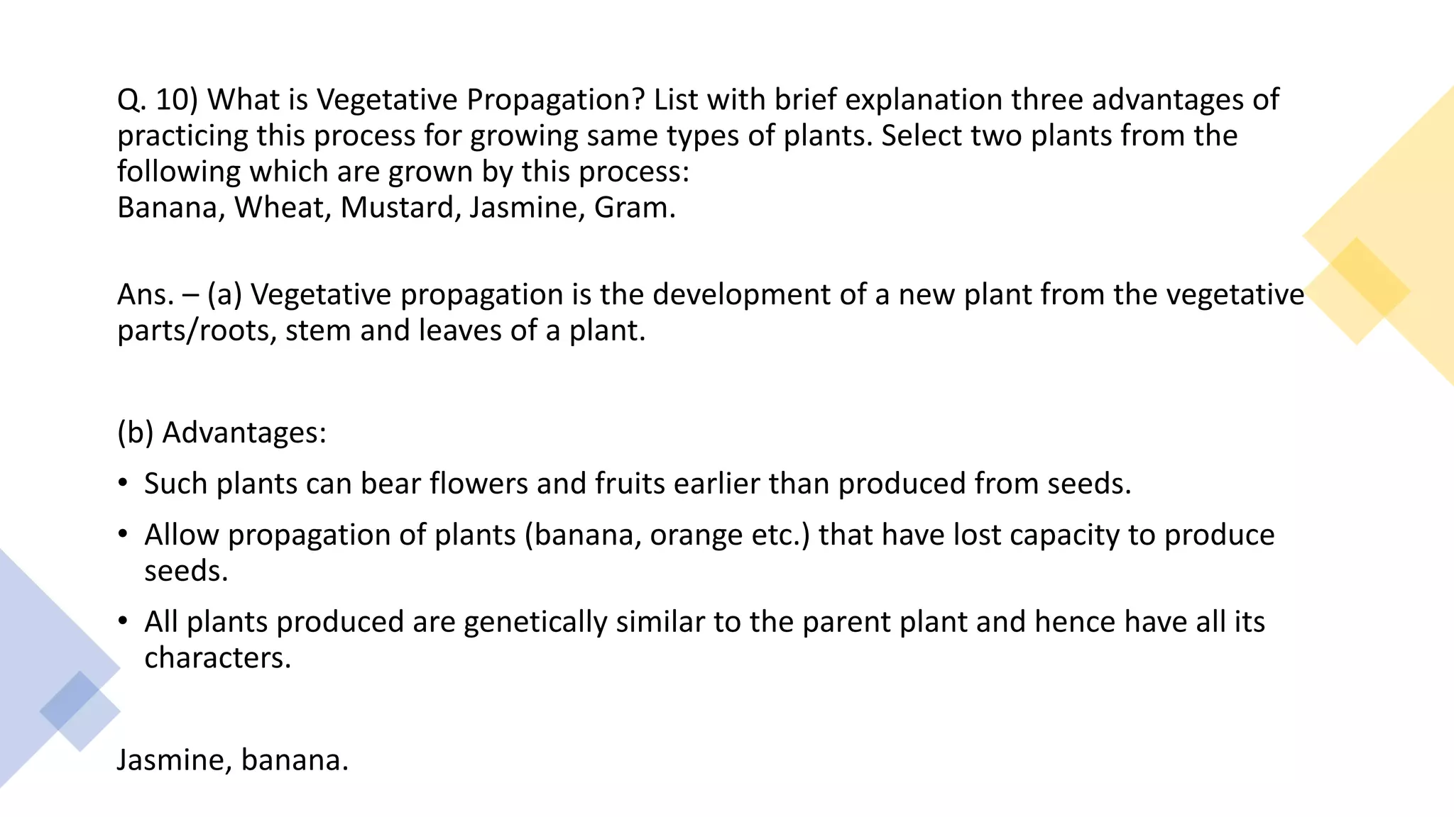 Q. 10) What is Vegetative Propagation? List with brief explanation three advantages of
practicing this process for growing same types of plants. Select two plants from the
following which are grown by this process:
Banana, Wheat, Mustard, Jasmine, Gram.
Ans. – (a) Vegetative propagation is the development of a new plant from the vegetative
parts/roots, stem and leaves of a plant.
(b) Advantages:
• Such plants can bear flowers and fruits earlier than produced from seeds.
• Allow propagation of plants (banana, orange etc.) that have lost capacity to produce
seeds.
• All plants produced are genetically similar to the parent plant and hence have all its
characters.
Jasmine, banana.
 