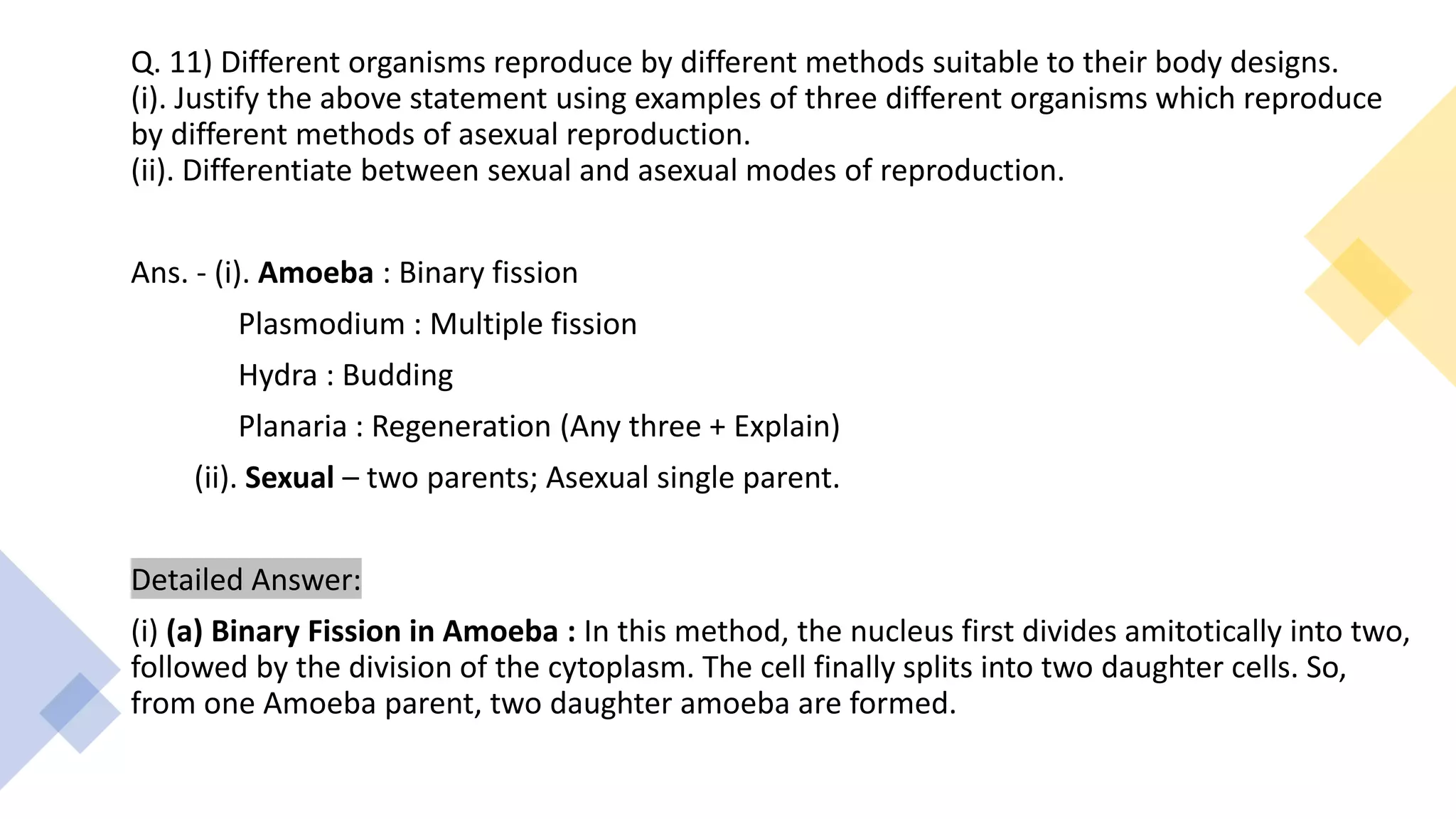 Q. 11) Different organisms reproduce by different methods suitable to their body designs.
(i). Justify the above statement using examples of three different organisms which reproduce
by different methods of asexual reproduction.
(ii). Differentiate between sexual and asexual modes of reproduction.
Ans. - (i). Amoeba : Binary fission
Plasmodium : Multiple fission
Hydra : Budding
Planaria : Regeneration (Any three + Explain)
(ii). Sexual – two parents; Asexual single parent.
Detailed Answer:
(i) (a) Binary Fission in Amoeba : In this method, the nucleus first divides amitotically into two,
followed by the division of the cytoplasm. The cell finally splits into two daughter cells. So,
from one Amoeba parent, two daughter amoeba are formed.
 