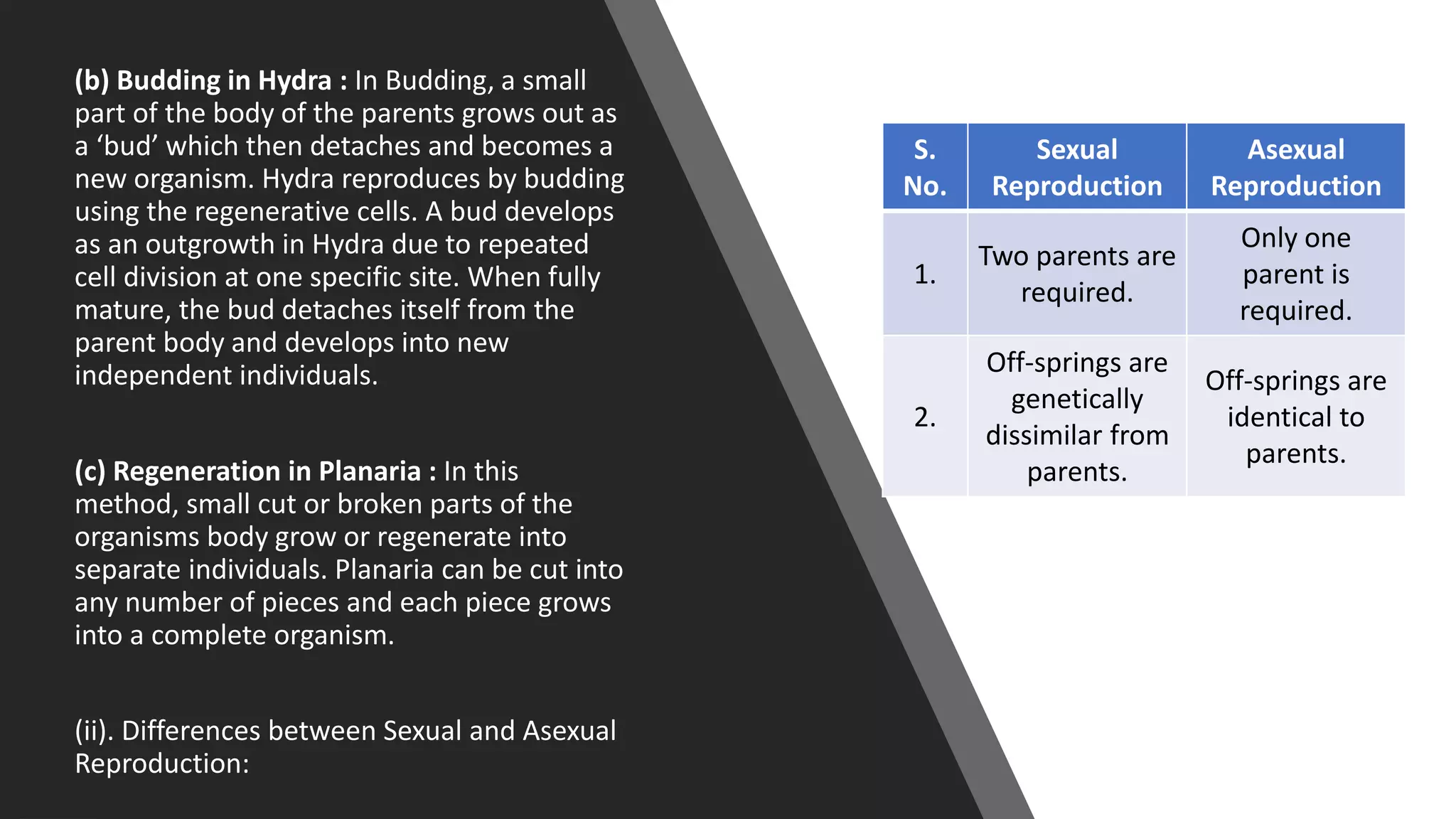 (b) Budding in Hydra : In Budding, a small
part of the body of the parents grows out as
a ‘bud’ which then detaches and becomes a
new organism. Hydra reproduces by budding
using the regenerative cells. A bud develops
as an outgrowth in Hydra due to repeated
cell division at one specific site. When fully
mature, the bud detaches itself from the
parent body and develops into new
independent individuals.
(c) Regeneration in Planaria : In this
method, small cut or broken parts of the
organisms body grow or regenerate into
separate individuals. Planaria can be cut into
any number of pieces and each piece grows
into a complete organism.
(ii). Differences between Sexual and Asexual
Reproduction:
S.
No.
Sexual
Reproduction
Asexual
Reproduction
1.
Two parents are
required.
Only one
parent is
required.
2.
Off-springs are
genetically
dissimilar from
parents.
Off-springs are
identical to
parents.
 
