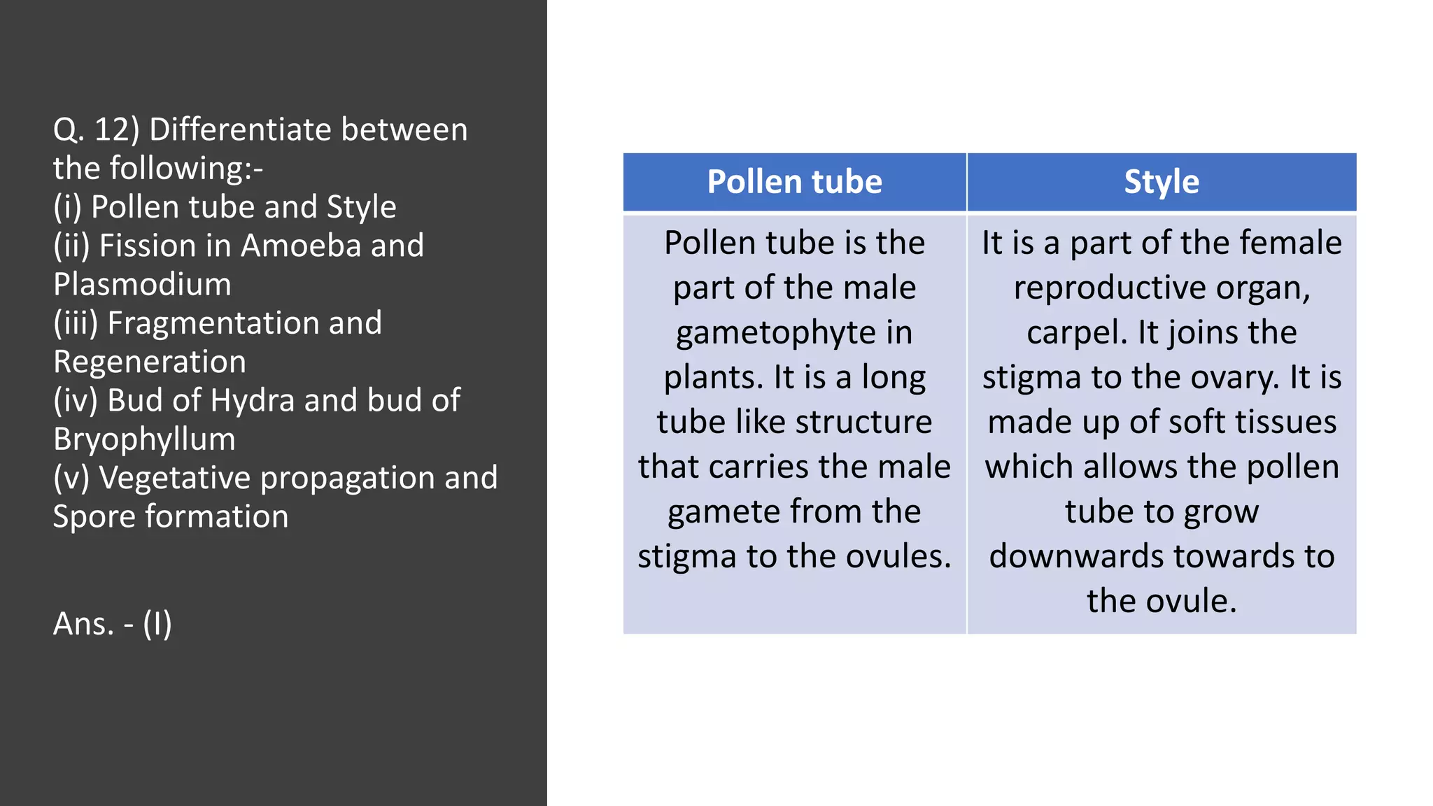 Q. 12) Differentiate between
the following:-
(i) Pollen tube and Style
(ii) Fission in Amoeba and
Plasmodium
(iii) Fragmentation and
Regeneration
(iv) Bud of Hydra and bud of
Bryophyllum
(v) Vegetative propagation and
Spore formation
Ans. - (I)
Pollen tube Style
Pollen tube is the
part of the male
gametophyte in
plants. It is a long
tube like structure
that carries the male
gamete from the
stigma to the ovules.
It is a part of the female
reproductive organ,
carpel. It joins the
stigma to the ovary. It is
made up of soft tissues
which allows the pollen
tube to grow
downwards towards to
the ovule.
 