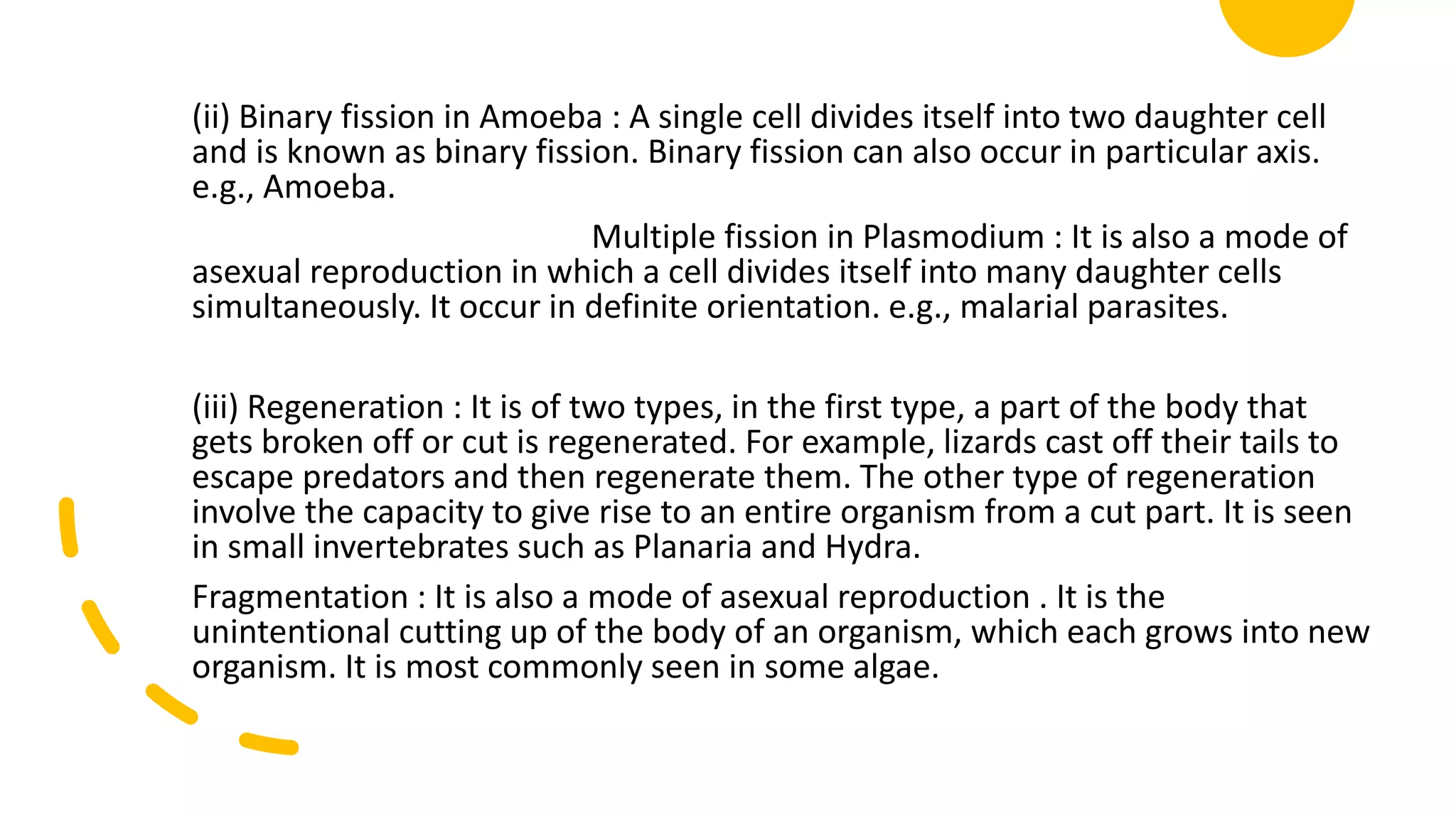 (ii) Binary fission in Amoeba : A single cell divides itself into two daughter cell
and is known as binary fission. Binary fission can also occur in particular axis.
e.g., Amoeba.
Multiple fission in Plasmodium : It is also a mode of
asexual reproduction in which a cell divides itself into many daughter cells
simultaneously. It occur in definite orientation. e.g., malarial parasites.
(iii) Regeneration : It is of two types, in the first type, a part of the body that
gets broken off or cut is regenerated. For example, lizards cast off their tails to
escape predators and then regenerate them. The other type of regeneration
involve the capacity to give rise to an entire organism from a cut part. It is seen
in small invertebrates such as Planaria and Hydra.
Fragmentation : It is also a mode of asexual reproduction . It is the
unintentional cutting up of the body of an organism, which each grows into new
organism. It is most commonly seen in some algae.
 