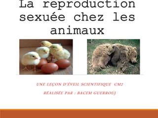 La reproduction
sexuée chez les
animaux
UNE LEÇON D’ÉVEIL SCIENTIFIQUE CM2
RÉALISÉE PAR : BACEM GUERROUJ
 