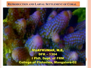 REPRODUCTION AND LARVAL SETTLEMENT OF CORAL
VIJAYKUMAR, M.E,
DFK – 1304
I PhD, Dept. of FRM
College of Fisheries, Mangalore-02
 