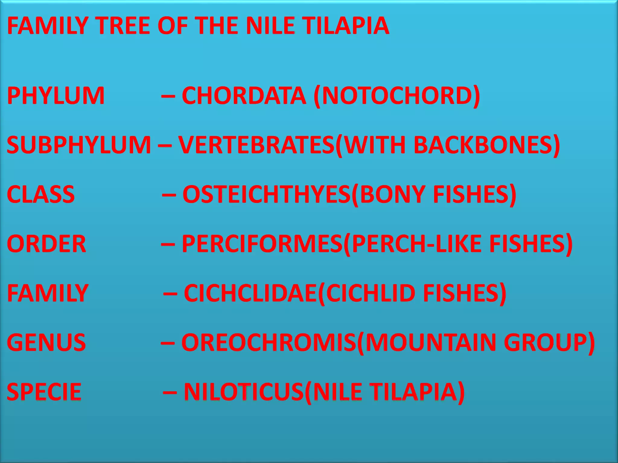 Reproduction cycle of tilapia specie | PPTX