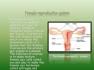 Reproduction of plants and animals group project | PPTX