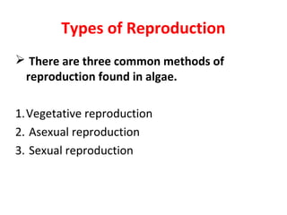 Reproduction in algae........ | PPT