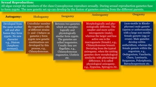 Reproduction in algae