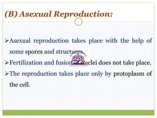 (B) Asexual Reproduction:
Asexual reproduction takes place with the help of
some spores and structures.
Fertilization and fusion of nuclei does not take place.
The reproduction takes place only by protoplasm of
the cell.
 