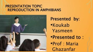 PRESENTATION TOPIC
REPRODUCTION IN AMPHIBIANS
Presented by:
•Koukab
Yasmeen
•Presented to :
•Prof : Maria
Ghazanfar
 