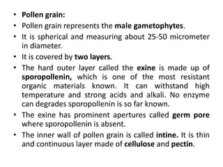 • Pollen grain:
• Pollen grain represents the male gametophytes.
• It is spherical and measuring about 25-50 micrometer
in diameter.
• It is covered by two layers.
• The hard outer layer called the exine is made up of
sporopollenin, which is one of the most resistant
organic materials known. It can withstand high
temperature and strong acids and alkali. No enzyme
can degrades sporopollenin is so far known.
• The exine has prominent apertures called germ pore
where sporopollenin is absent.
• The inner wall of pollen grain is called intine. It is thin
and continuous layer made of cellulose and pectin.
 