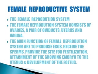 Reproduction in animals | PPTX