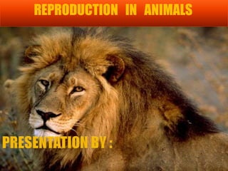 REPRODUCTION IN ANIMALS
 