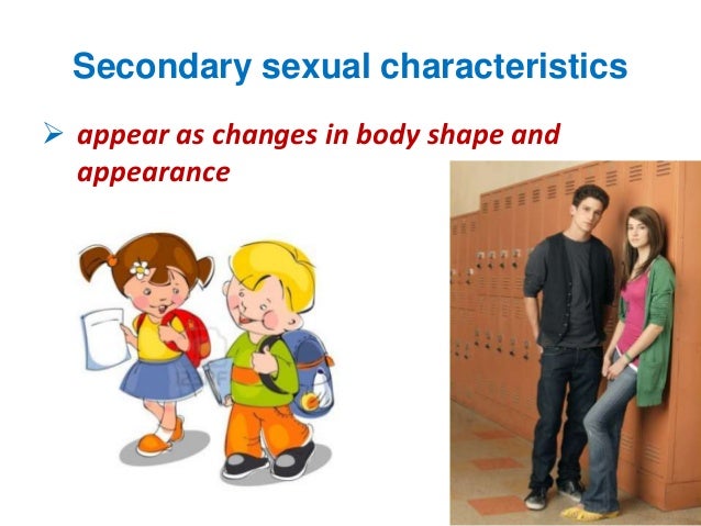 Reproduction in animals